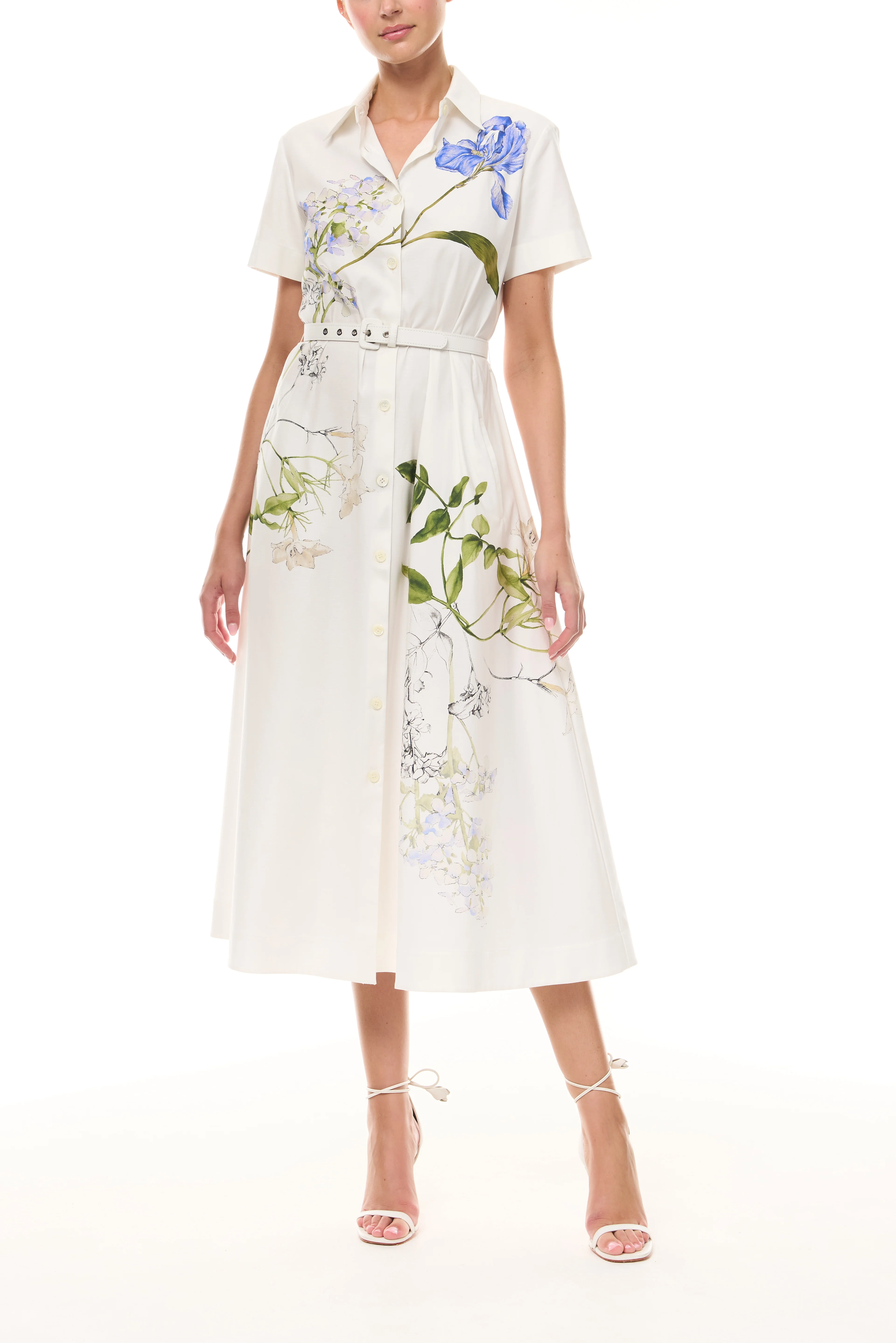 Iris Printed Poplin Day Dress - Image 4