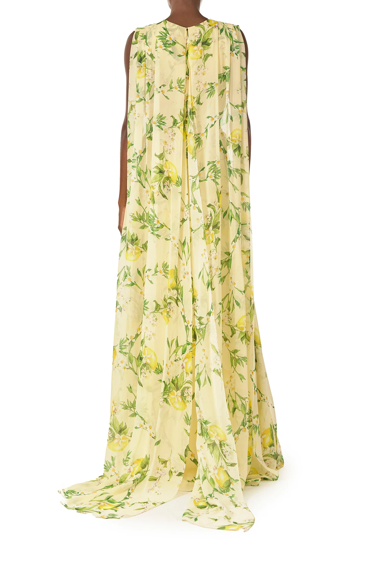Lemon Print Georgette Gown - Image 4