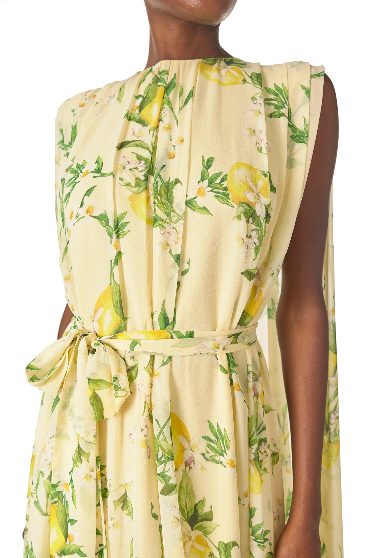 Lemon Print Georgette Gown - Image 5